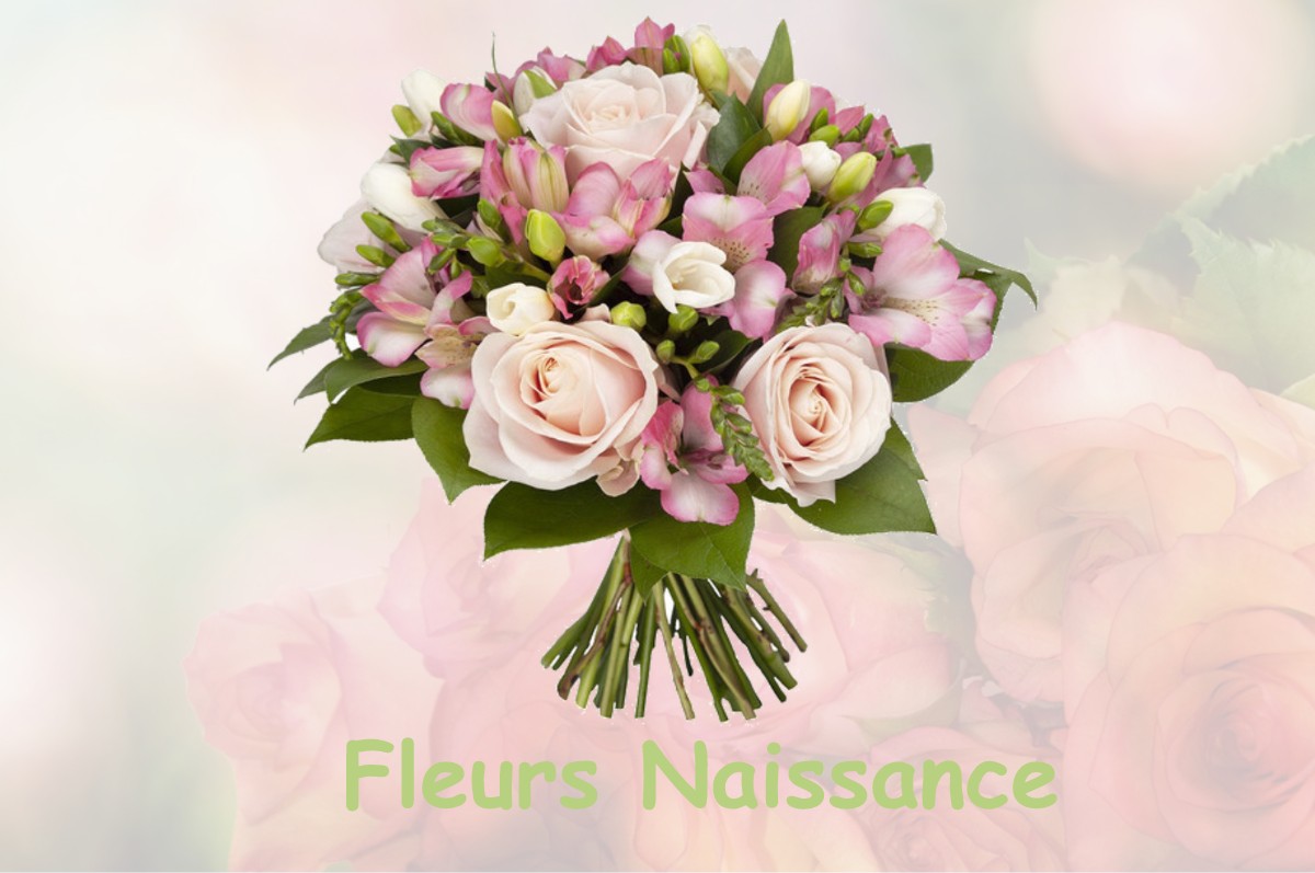 fleurs naissance TORCHEFELON