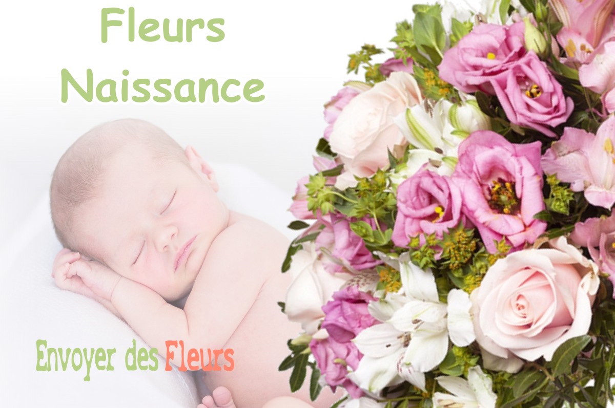 lIVRAISON FLEURS NAISSANCE à TORCHEFELON